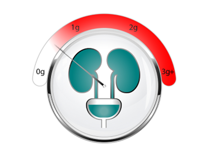 Kidney function graphic