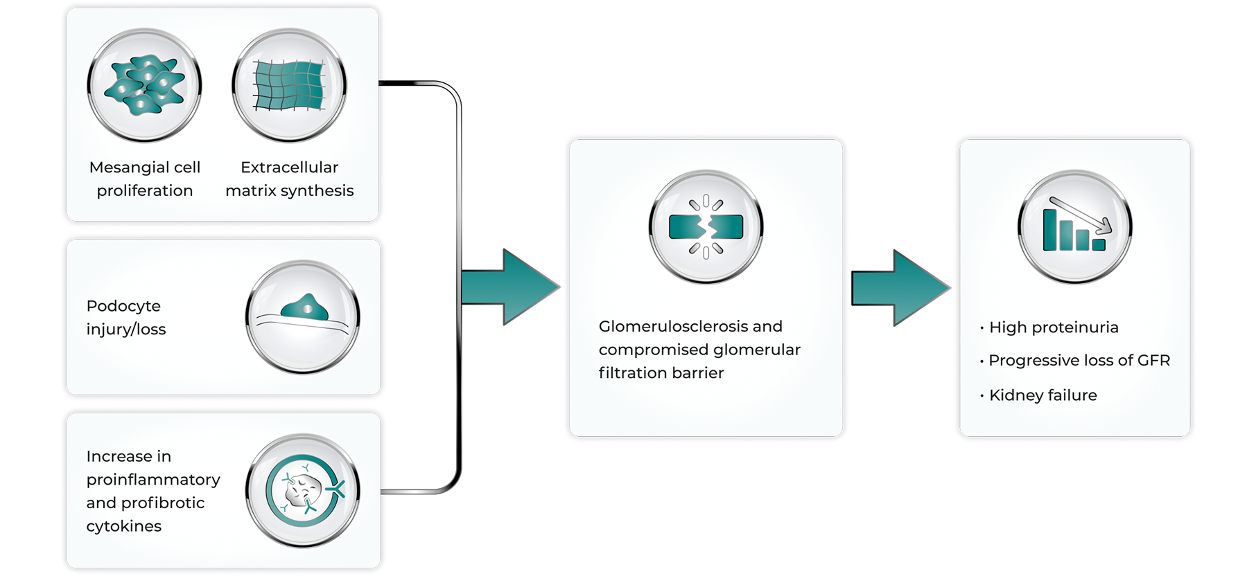 Formation of pathogenic IgA1-containing