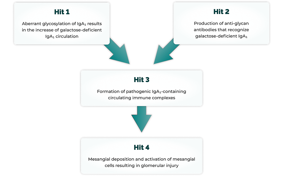 Mechanism of disease