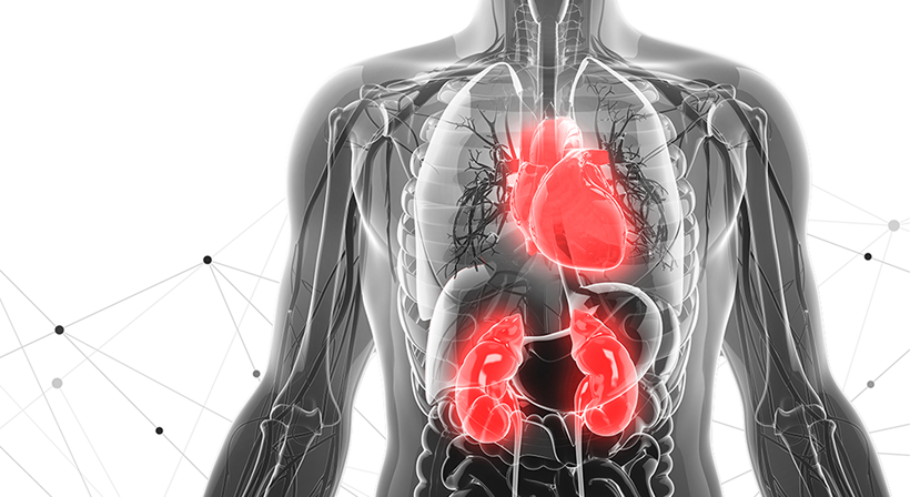 Global Heart Failure Academy - Resources