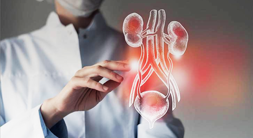 Updates in Glomerular Disease