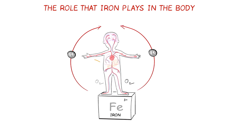World Heart Federation - Video: Iron Deficiency & Heart Failure