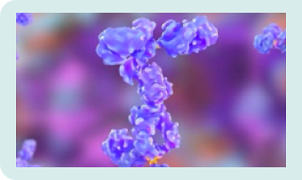 Proteinuria