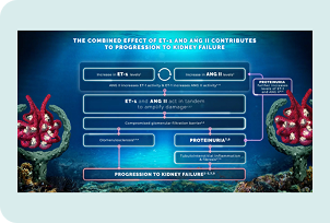 Proteinuria