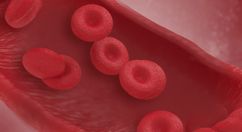 Global Heart Failure Academy - Video: Iron Deficiency and Anemia: What’s the Difference?